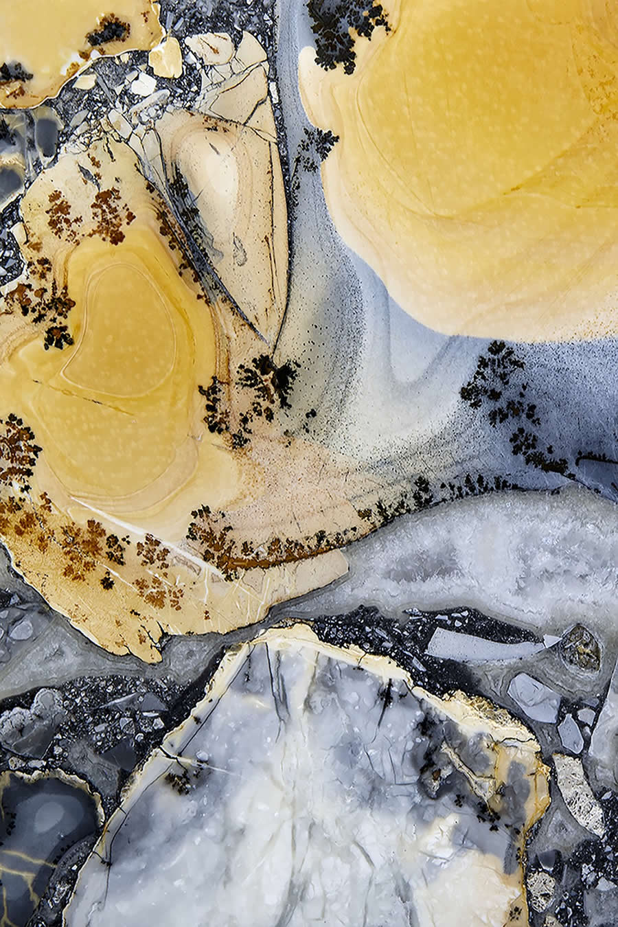 1839 Photographer of the Year Awards 2025 Winners