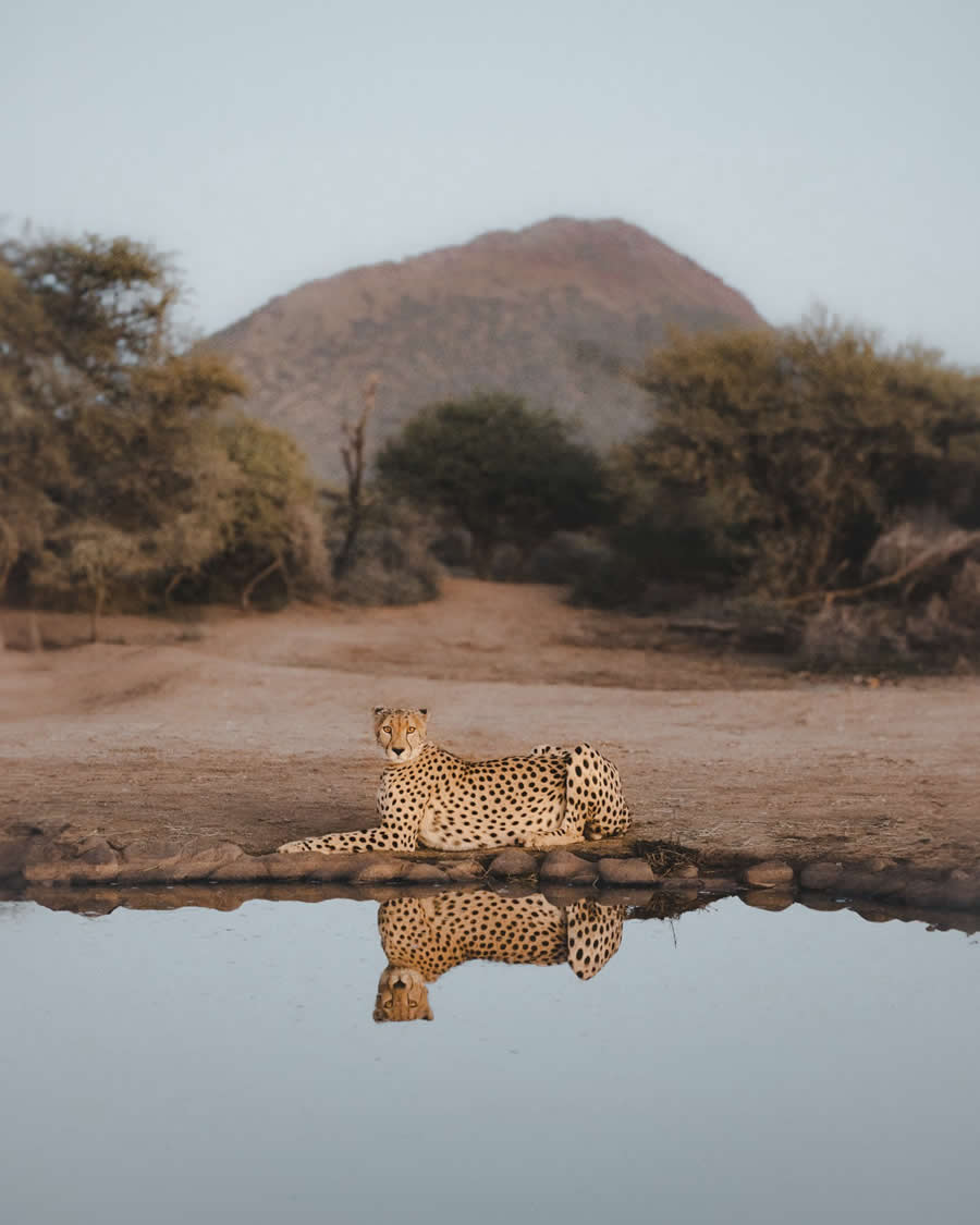 1839 Photographer of the Year Awards 2025 Winners