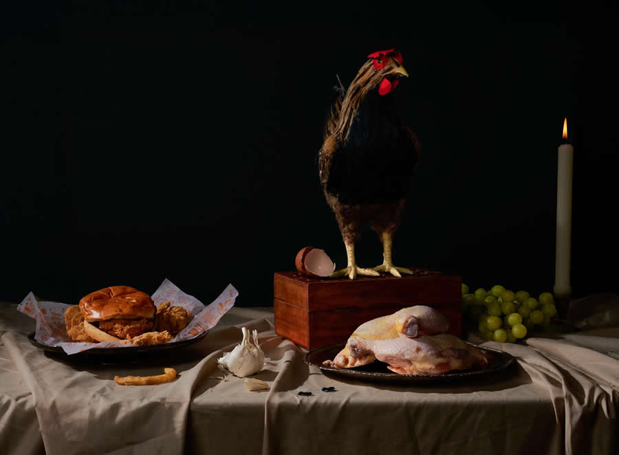 1839 Photographer of the Year Awards 2025 Winners