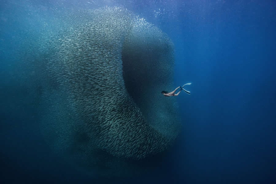 1839 Photographer of the Year Awards 2025 Winners
