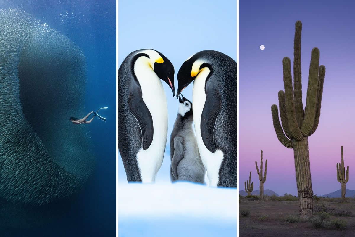 1839 Photographer of the Year Awards 2025 Winners