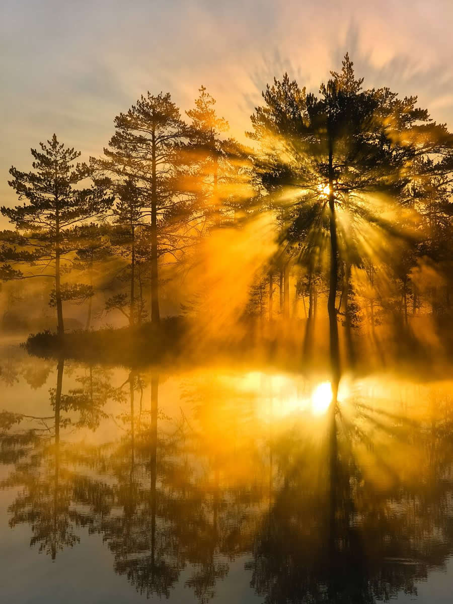 Award-Winning Mobile Photos from 35 Photography Awards