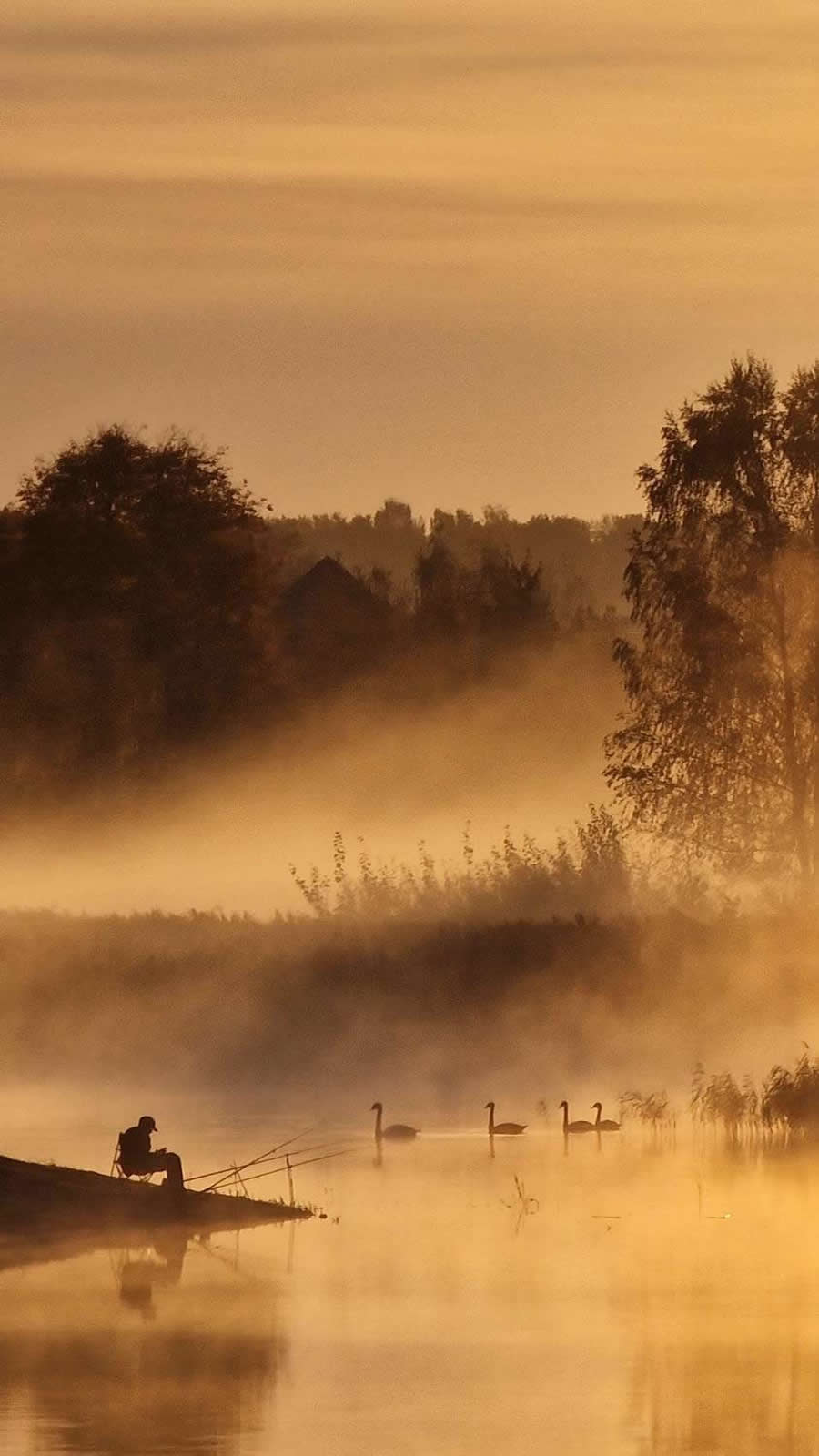 35 Photography Awards Mobile Winners