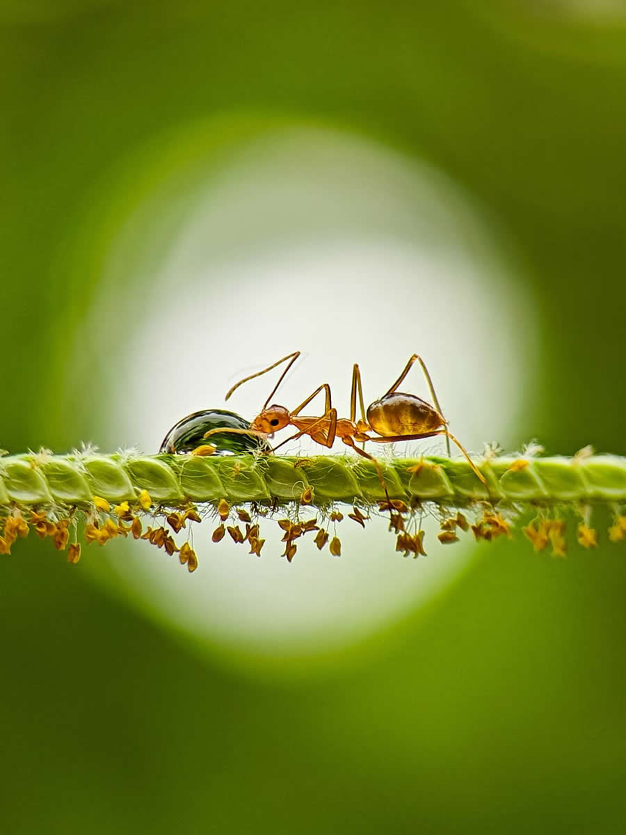 35 Photography Awards Mobile Winners