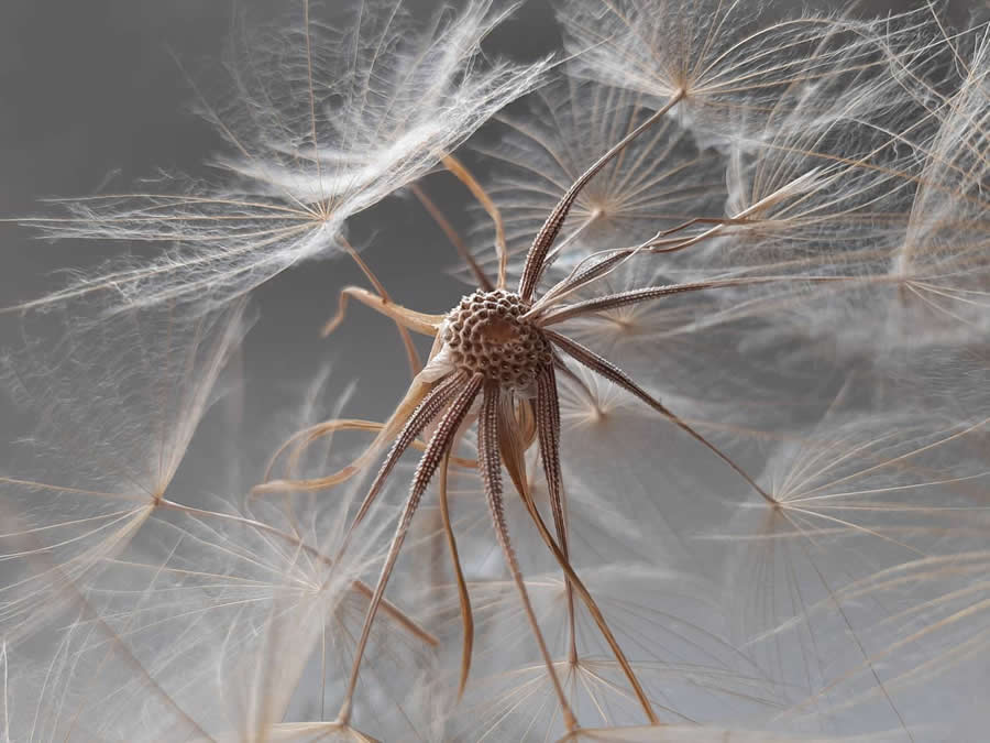 35 Photography Awards Mobile Winners