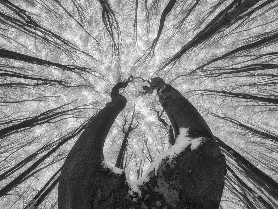 35 Photography Awards Mobile Winners