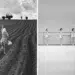 Black and white photos showing girl running in farm field and ballet teacher guiding young dancers