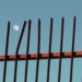 Full moon visible behind rusty iron fence against blue sky