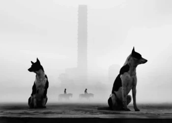 Two dogs sitting in the foreground with riders on horseback and a tall tower fading into fog behind them