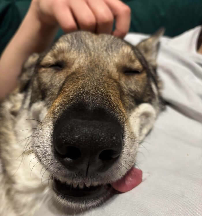 Our Happy Little Baby - Adorable Animal Photos