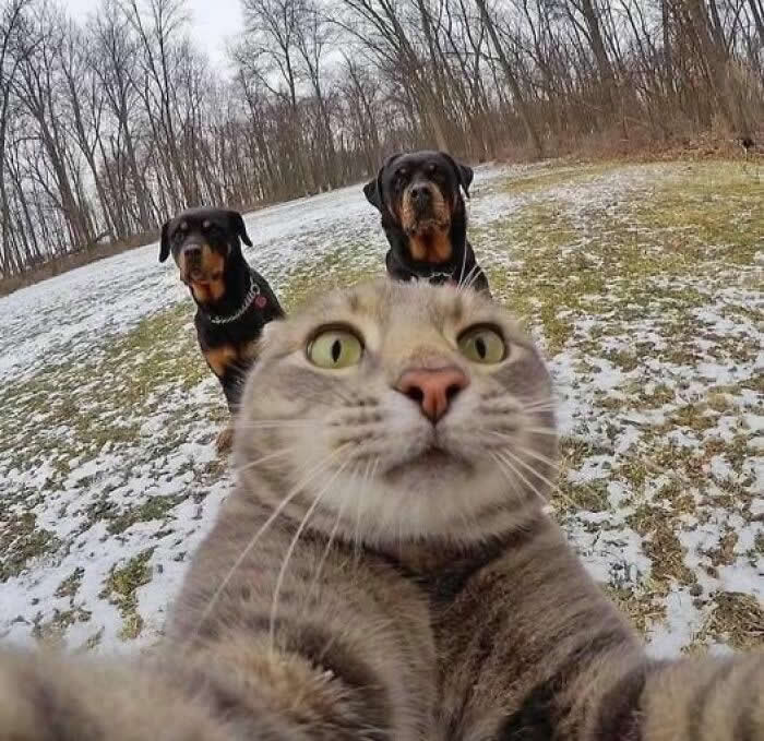 Adorable Yet Terrifying Animal Moments