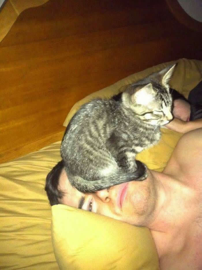 Adorable Yet Terrifying Animal Moments