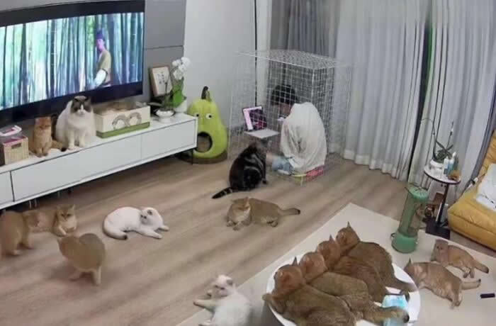 Adorable Yet Terrifying Animal Moments