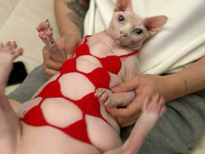 Adorable Yet Terrifying Animal Moments