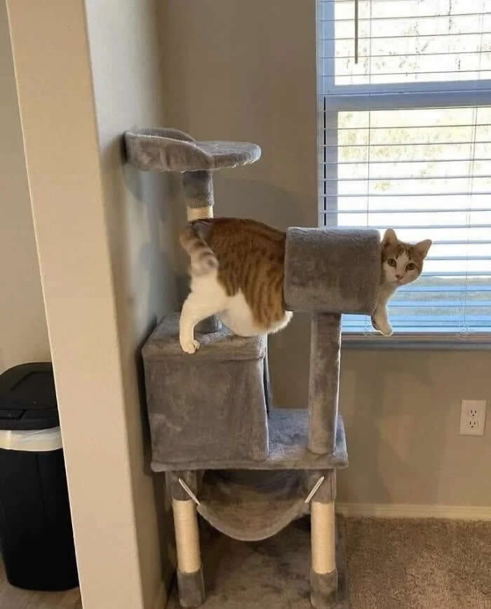 Adorable Yet Terrifying Animal Moments