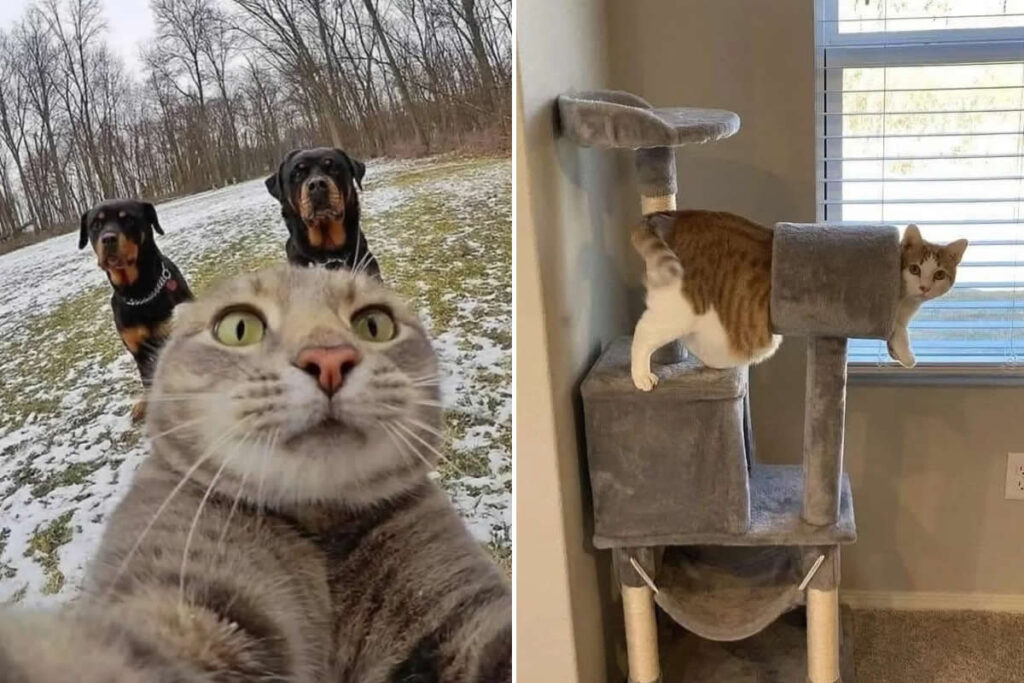 Adorable Yet Terrifying Animal Moments