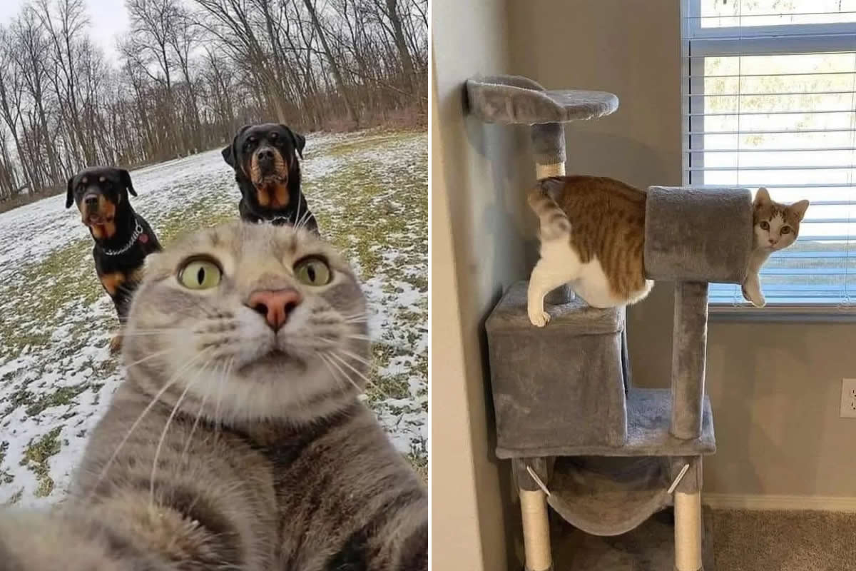 Adorable Yet Terrifying Animal Moments