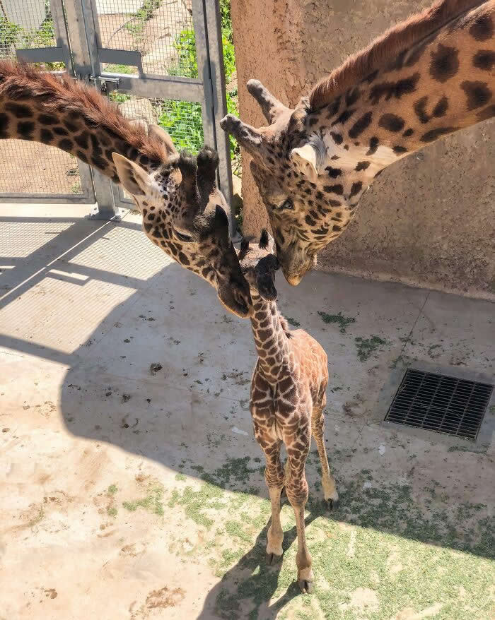 First Family Photo – Santa Barbara Zoo - Adorable Tiny Animals