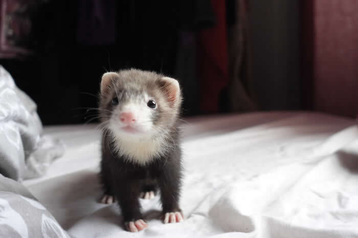 I Think This Is The Only Time She’s Stood Still For Me To Take A Photo. Baby Socks - Adorable Tiny Animals