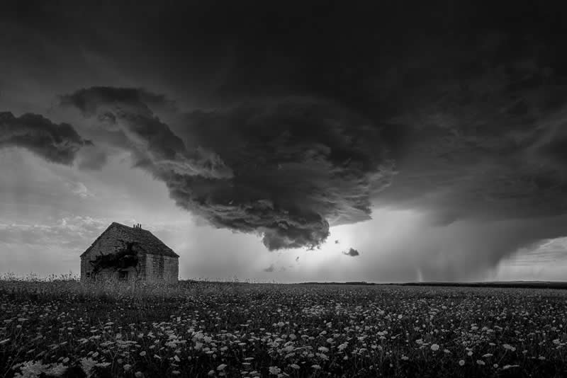 Xavier Delorme by Sombre Lumière - Nature Winners from the Annual Photography Awards