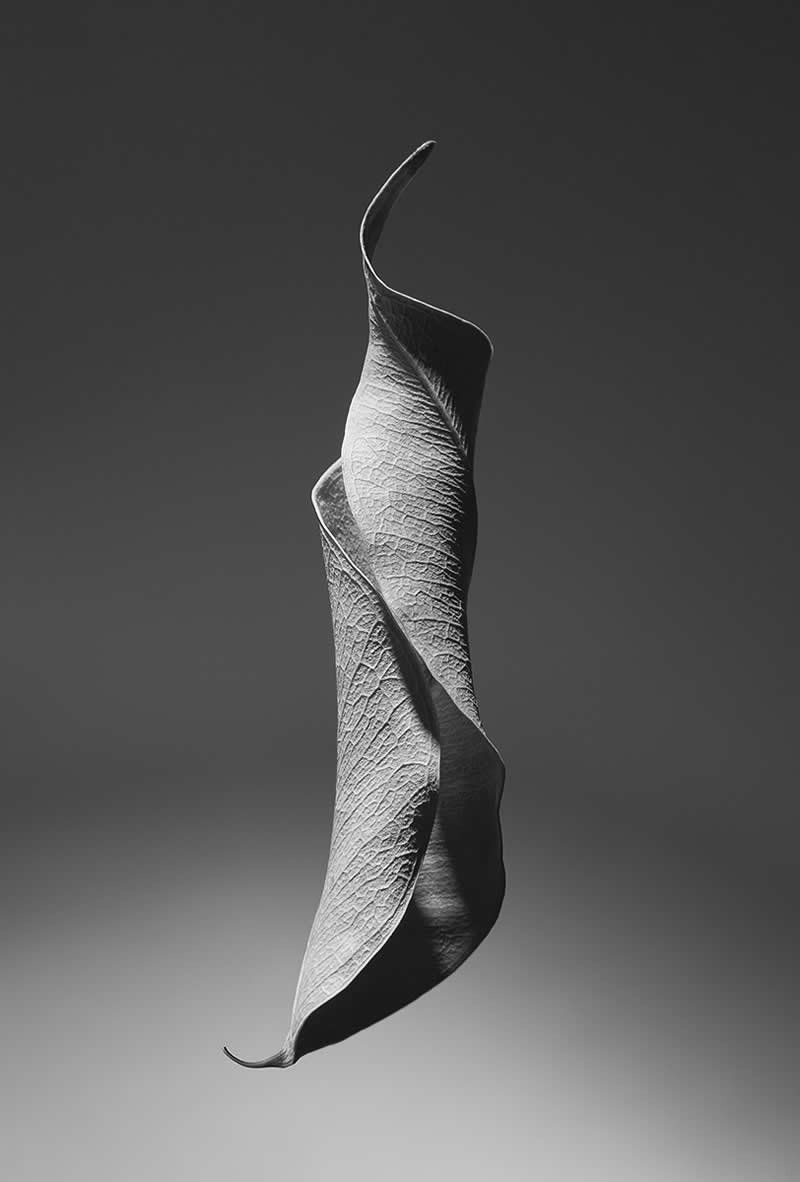 Kalia by Guylaine Couttolenc - Nature Winners from the Annual Photography Awards
