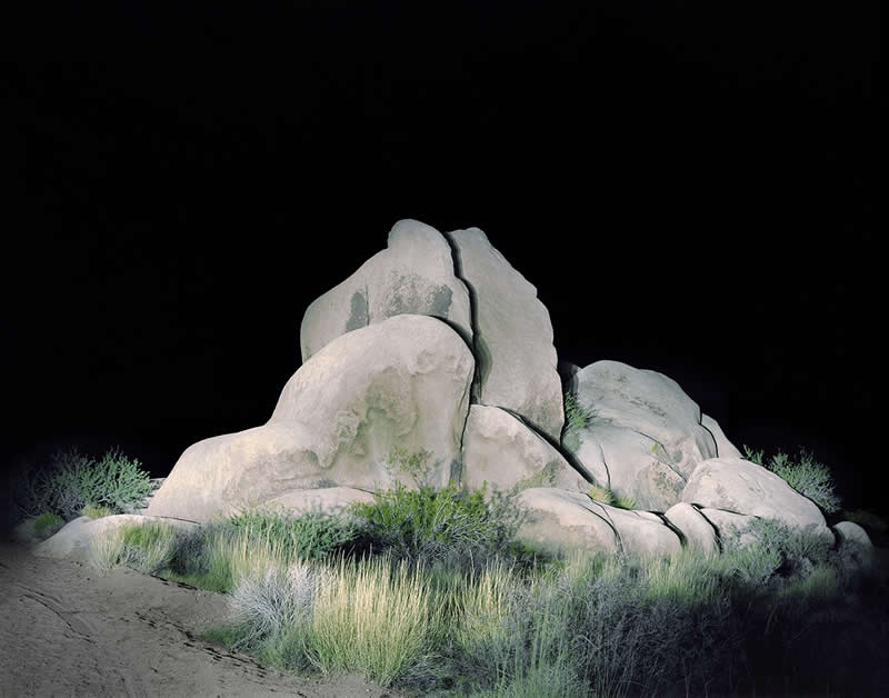 Rock Safari by Austin Irving - Nature Winners from the Annual Photography Awards