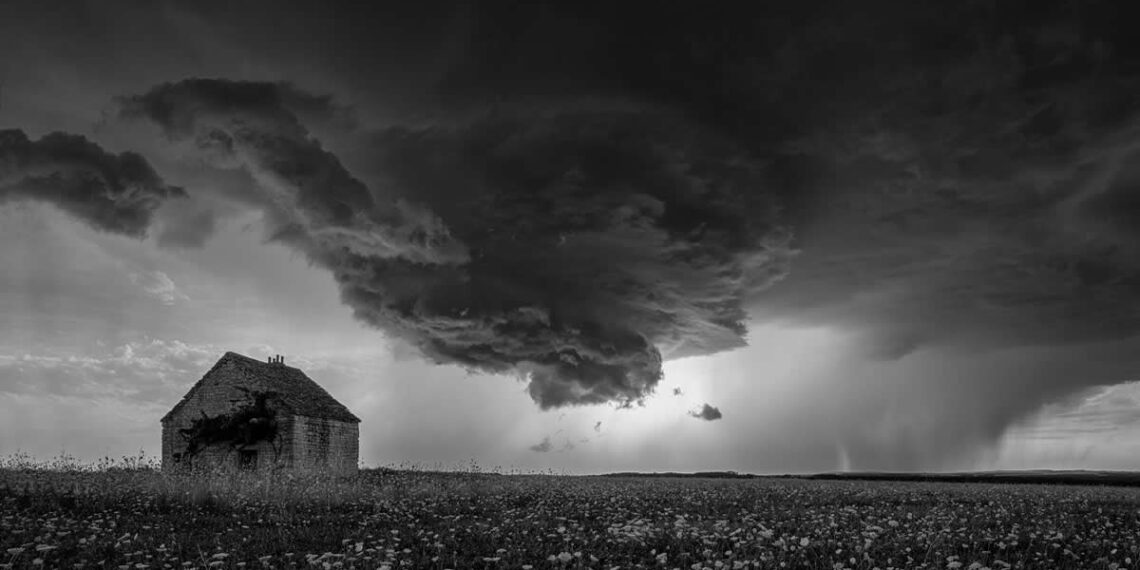 Nature Winners from the Annual Photography Awards