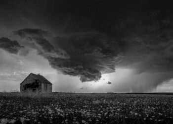 Nature Winners from the Annual Photography Awards