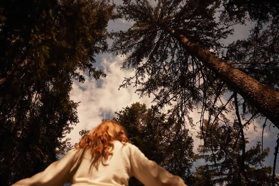 AOP Photography Awards 2025 Winners