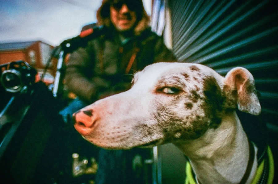 AOP Photography Awards 2025 Winners