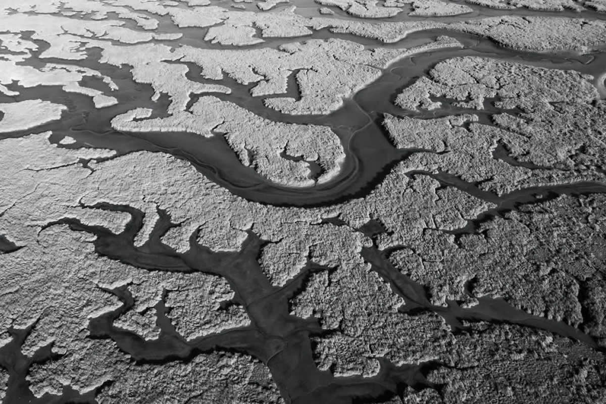 AOP Photography Awards 2025 Winners