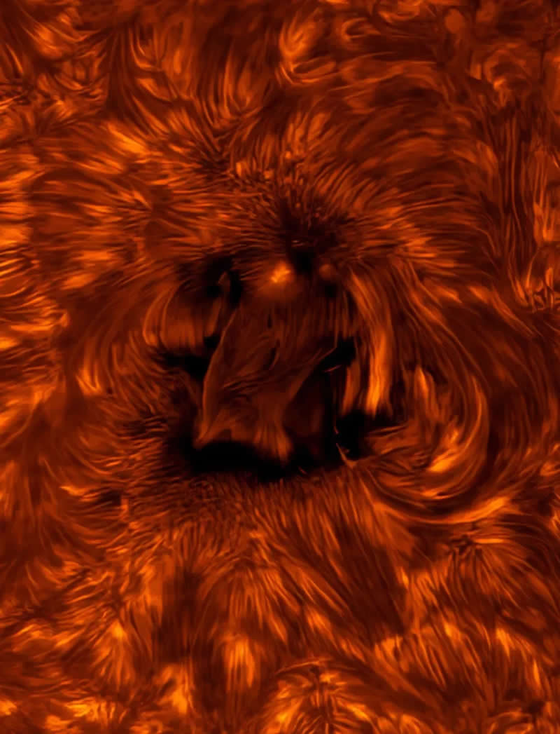 Active Region of the Sun's Chromosphere by James Sinclair - 2025 Astronomy Photographer of the Year Awards