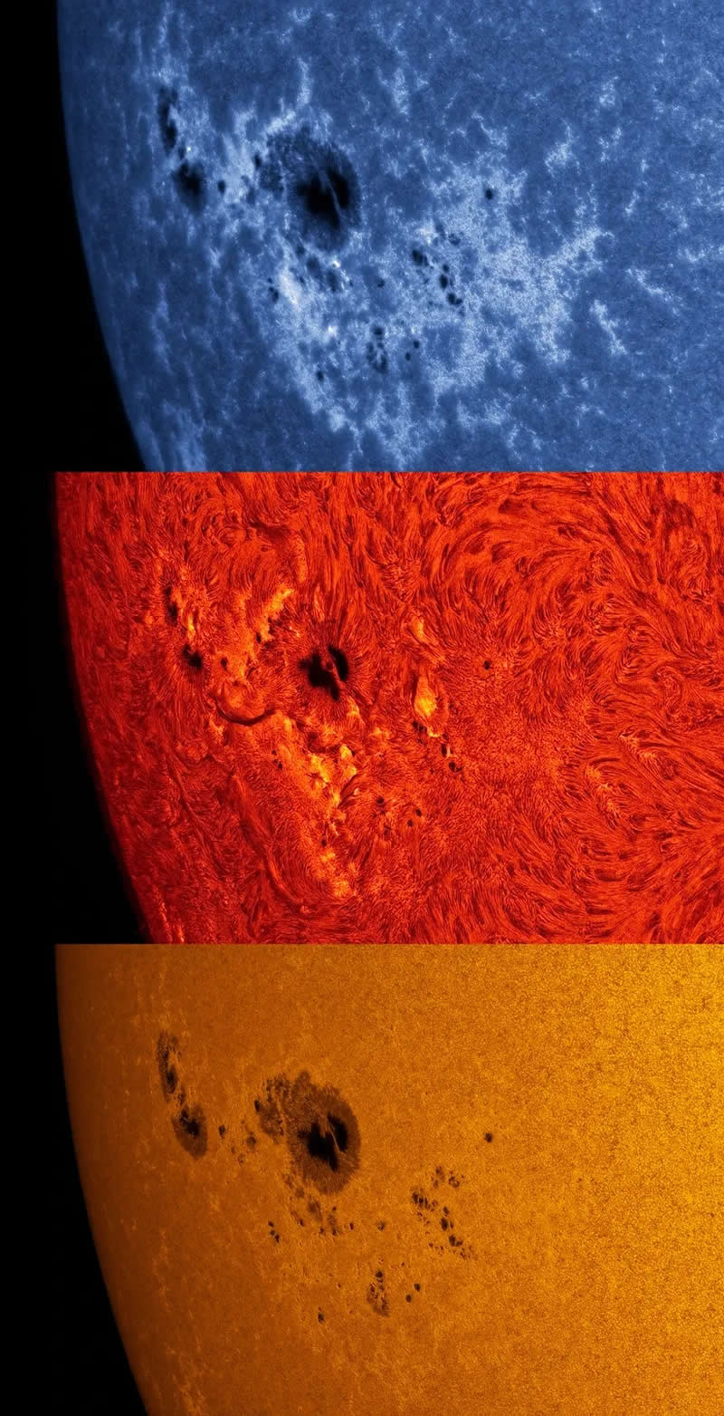 AR 13780 in Multiple Spectra by Salvo Lauricella - 2025 Astronomy Photographer of the Year Awards