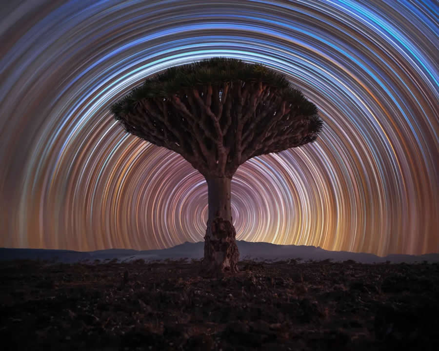 Astronomy Photographer of the Year 2025 Skyscapes Winners
