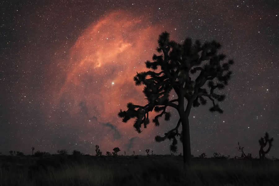 Astronomy Photographer of the Year 2025 Skyscapes Winners