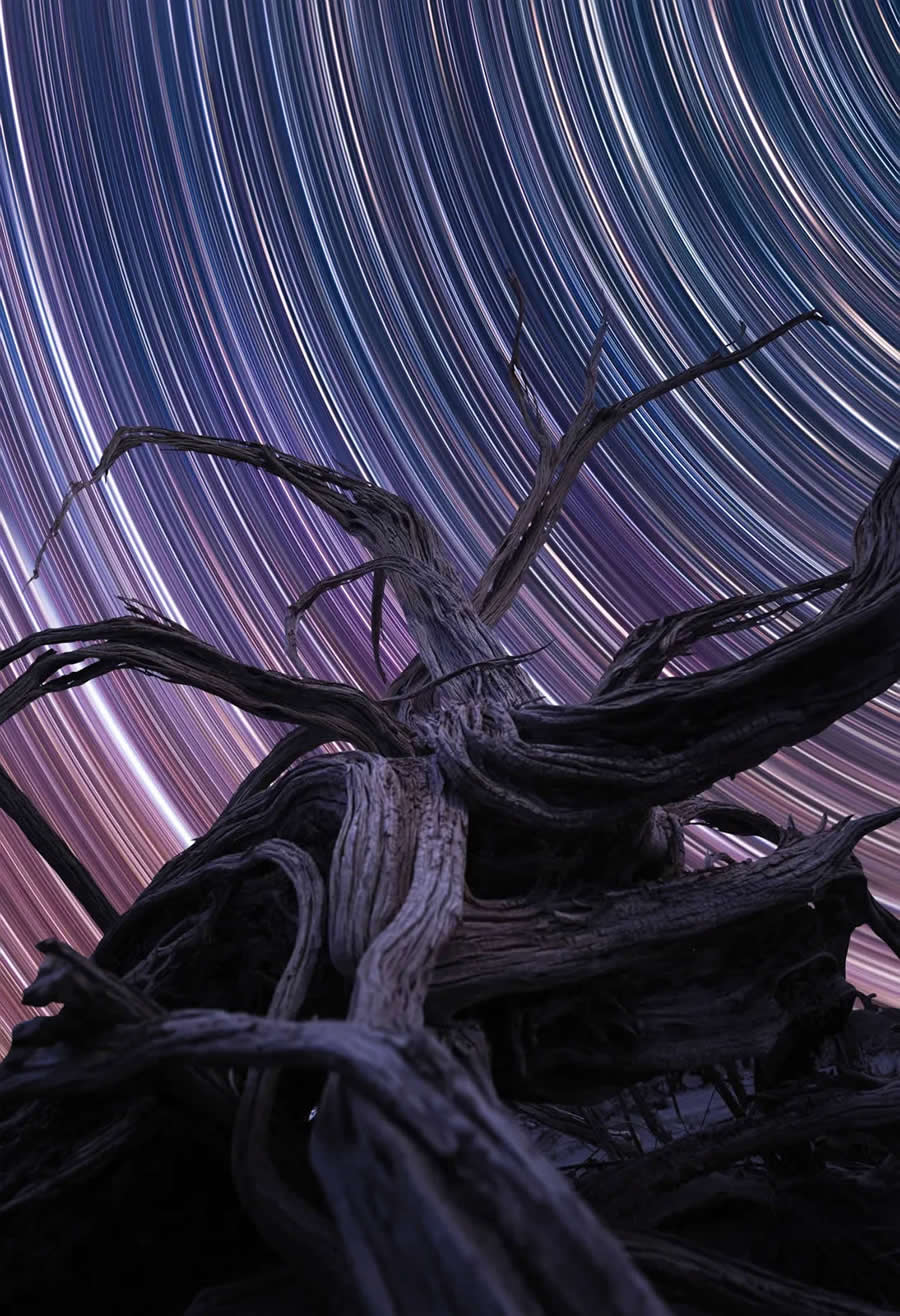 Astronomy Photographer of the Year 2025 Skyscapes Winners