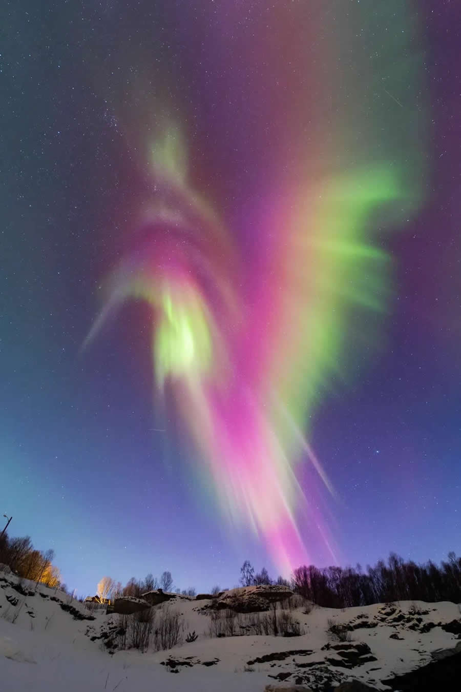 Astronomy Photographer of the Year 2025 Aurorae Winners