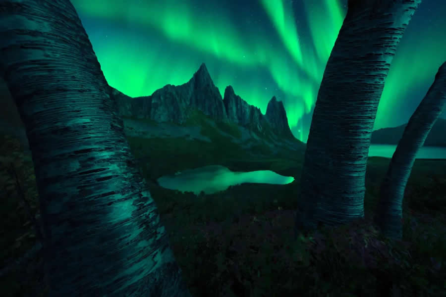 Astronomy Photographer of the Year 2025 Aurorae Winners