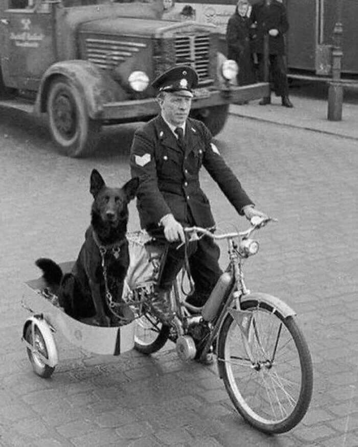 Police officer riding a bicycle with his dog - Black and White Bicycle Photos of Everyday Life