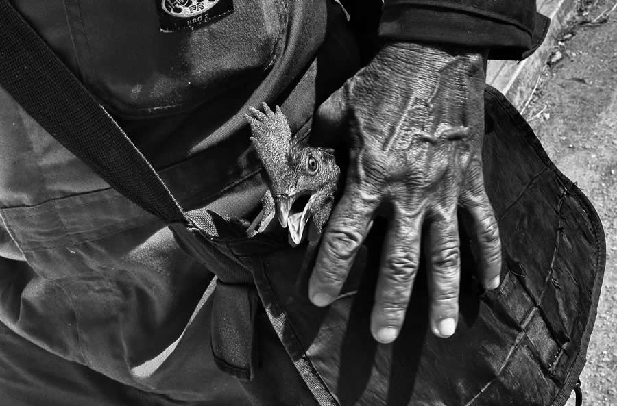 Powerful Black and White Photos by Luis Casadevall That Reveal the Soul of Cuba