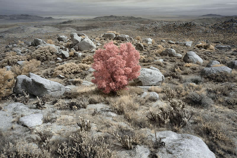 Delia's Views by Luciano Demasi, United States - Chromatic Awards Landscape Winners