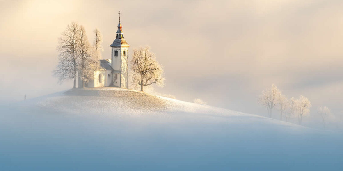 Chromatic Awards Landscape Winners