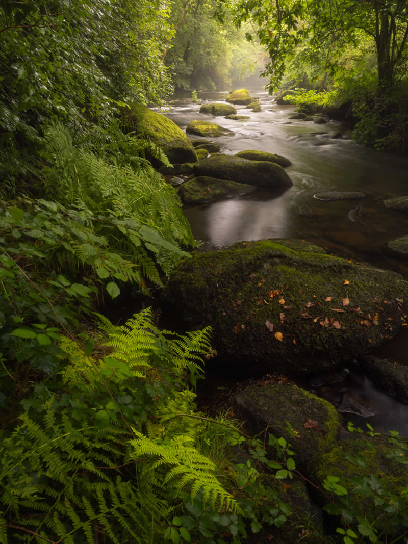 Foggy day at Stangala by Sebastien Kech, France - Nature Photos from the Chromatic Photography Awards