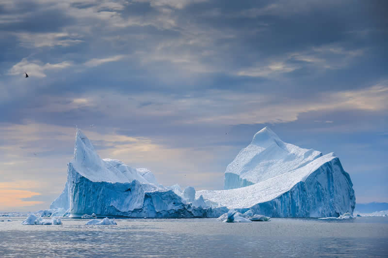 The winter wonderer by Ngar Shun Victor Wong, Hong Kong - Nature Photos from the Chromatic Photography Awards