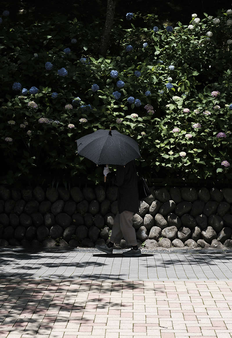 Black a umbrella by JAPALS 87, Japan - Street and Travel Photographs from the Chromatic Photography Awards