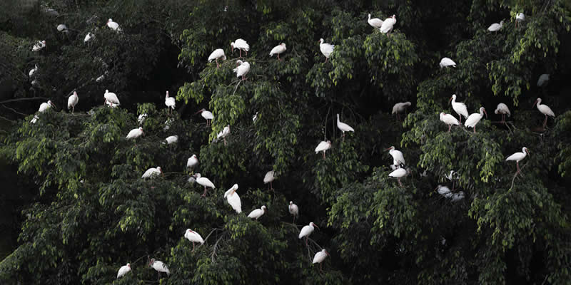 Population Density by Hilda Champion, United States - Wildlife and Animals Winners of Chromatic Awards