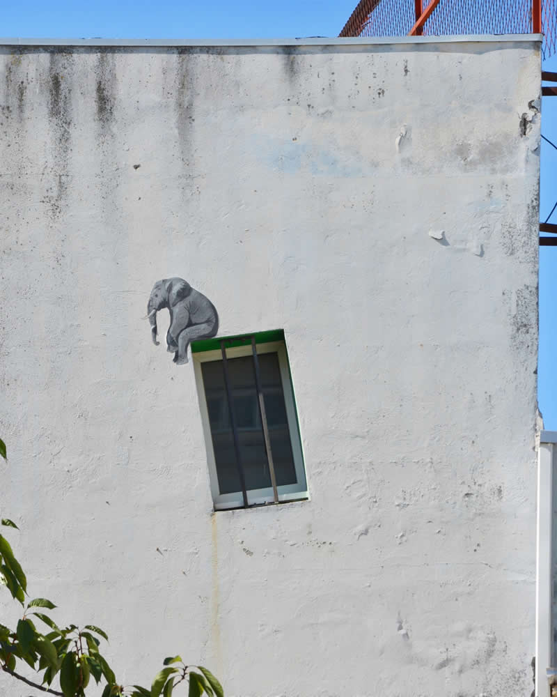 An elephant sitting on Cross Window - Funny Creative Street Artworks by Artist Oak Oak