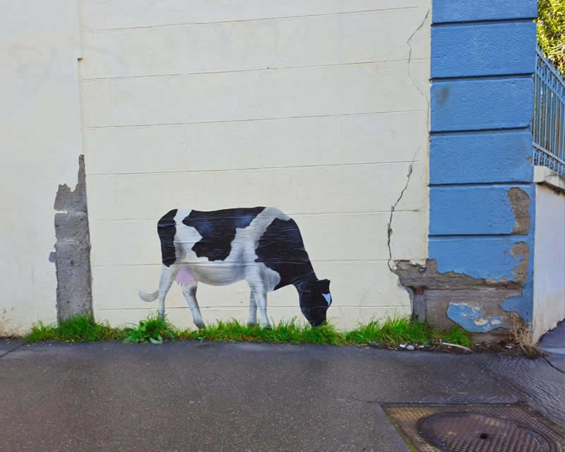 Cow eating grass - Funny Creative Street Artworks by Oak Oak