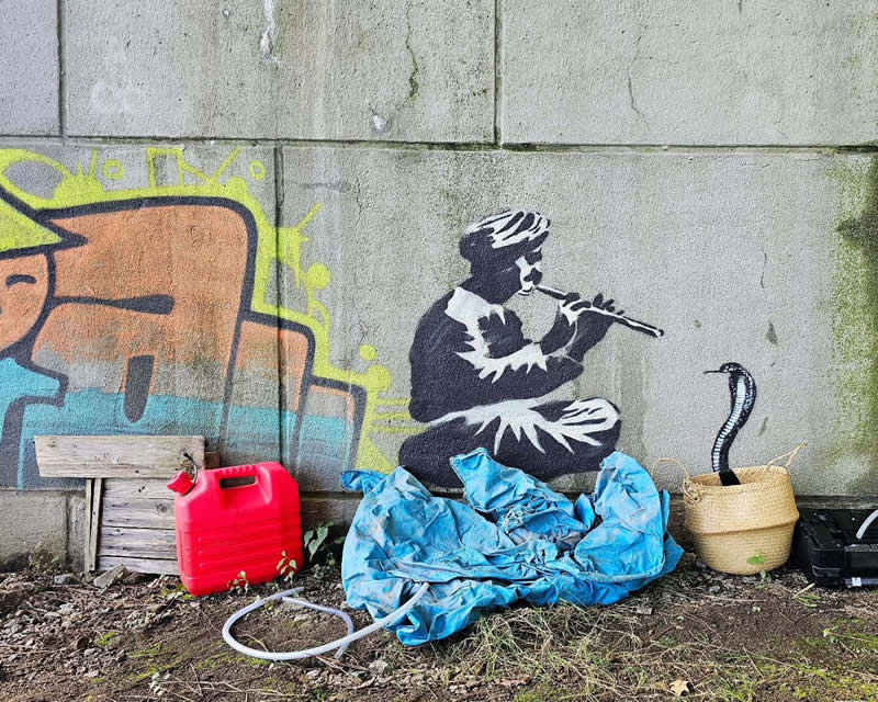Snake player - Funny Creative Street Artworks by Oak Oak