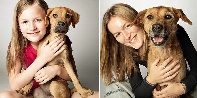 Hazel And Juno – 2012 And 2022 - Emotional Dog Portraits by Amanda Jones Capture Aging and Love